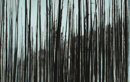 “Deep Forest” 2013: mixed media, oil on canvas 60×48 inches