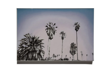 “Echo Park Palms” 2016: Mixed Media Oil on Canvas 44″x64″